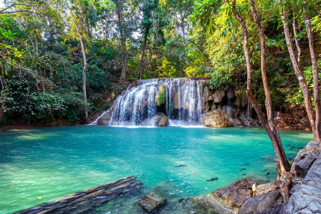 Jalapão: um paraíso de aventura e beleza natural no coração do Brasil.